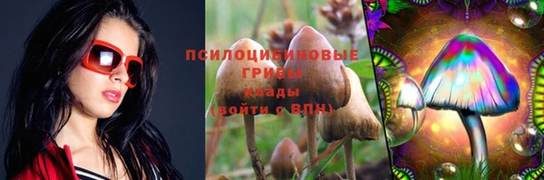 jwh Гусев