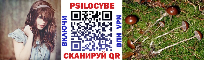 Галлюциногенные грибы GOLDEN TEACHER  Купить  Ивдель 